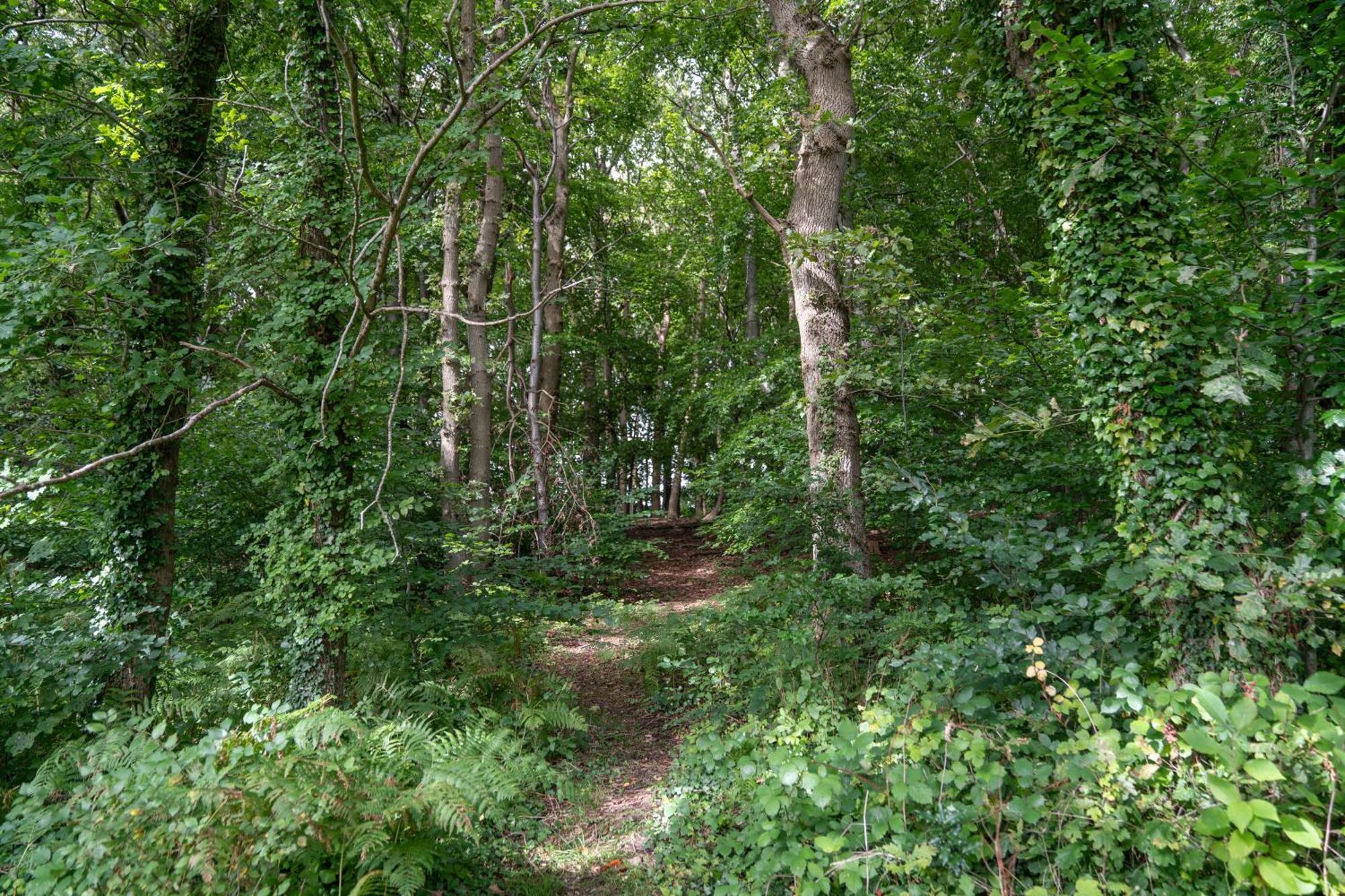 Gite 9 Personnes Fecamp Etretat Colleville Luaran gambar